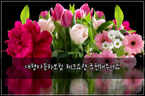 대형자동차보험 체크요령  추천해주세요