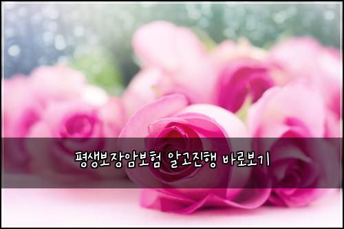 평생보장암보험 알고진행  바로보기