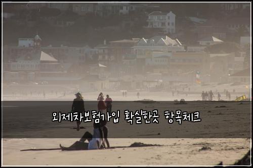외제차보험가입 확실한곳 항목체크