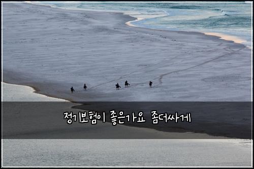 정기보험이 좋은가요 좀더싸게