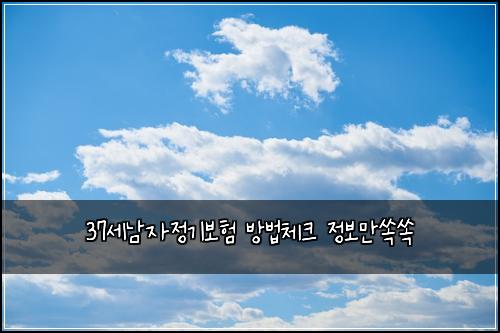 37์ธ๋จ์์ ๊ธฐ๋ณดํ ๋ฐฉ๋ฒ์ฒดํฌ ์ ๋ณด๋ง์์