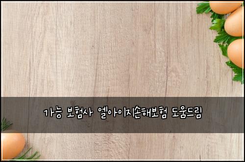 가능 보험사 엘아이지손해보험 도움드림