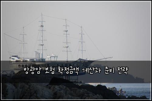 방광암 보험 확정금액 계산과 준비 전략