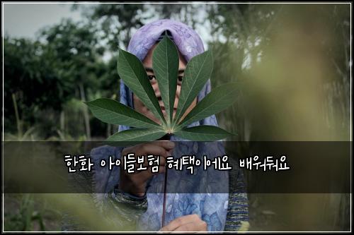 한화 아이들보험 혜택이에요  배워둬요