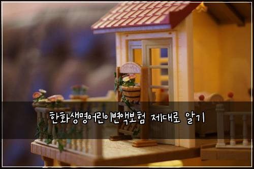 한화생명어린이변액보험 제대로 알기
