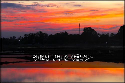 ์ ๊ธฐ๋ณดํ ๊ฒฌ์ ๊ธฐ์ค ์ํํน์ฑ๊ณผ