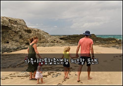 가족사랑통합종신보험 체크할 포인트