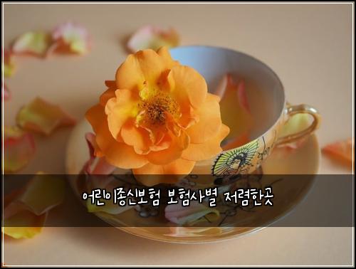 ์ด๋ฆฐ์ด์ข
์ ๋ณดํ ๋ณดํ์ฌ๋ณ ์ ๋ ดํ๊ณณ