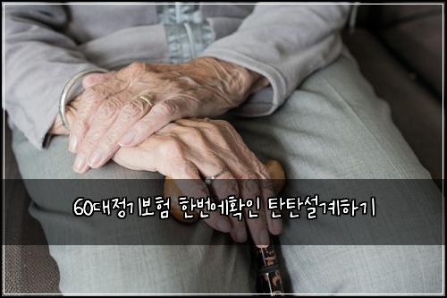 60대정기보험 한번에확인  탄탄설계하기