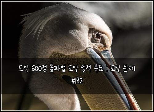 토익 600점 돌파법 토익 성적 목표 : 토익 문제 #182