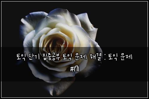 토익 단기 집중공부 토익 문제 해결 : 토익 문제 #171