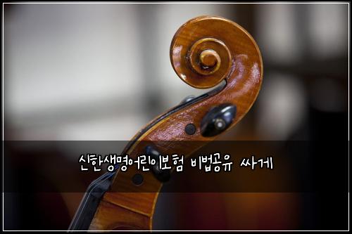 신한생명어린이보험 비법공유  싸게