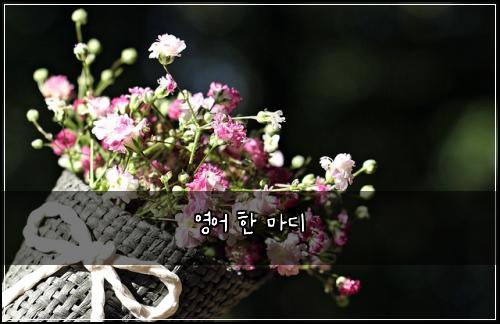 영어 한 마디
