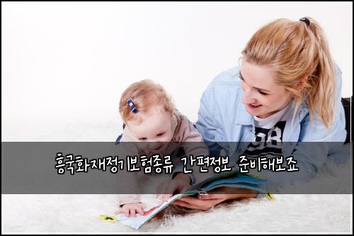 흥국화재정기보험종류 간편정보 준비해보죠