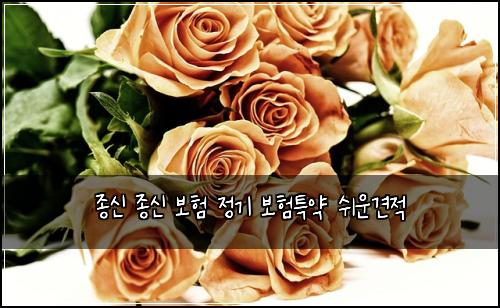 종신 종신 보험 정기 보험특약 쉬운견적
