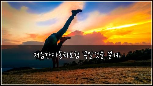 μ λ ΄νμλ차보ν κΌμκ²λ€ μ€κ³