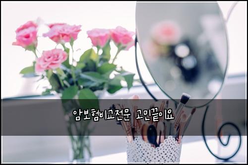์๋ณดํ๋น๊ต์ ๋ฌธ ๊ณ ๋ฏผ๋์ด์