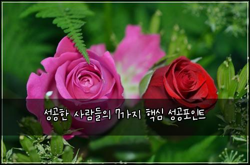 ์ฑ๊ณตํ ์ฌ๋๋ค์ 7๊ฐ์ง ํต์ฌ ์ฑ๊ณตํฌ์ธํธ