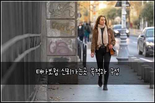 태아보험 신뢰가는곳  목적과 구성