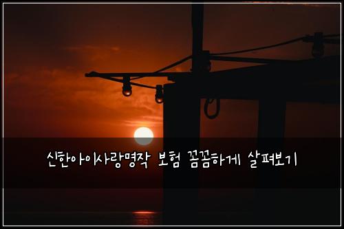 신한아이사랑명작 보험 꼼꼼하게 살펴보기