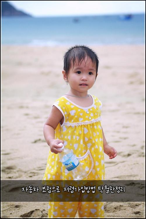 자동차 보험으로 저렴가입방법 탁월한정리