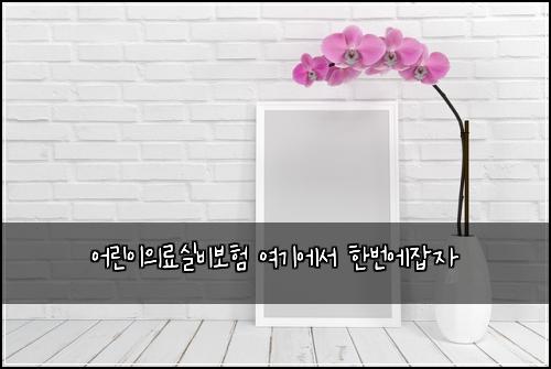 어린이의료실비보험 여기에서  한번에잡자