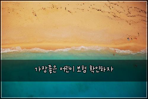 가장좋은 어린이 보험 확인하자 