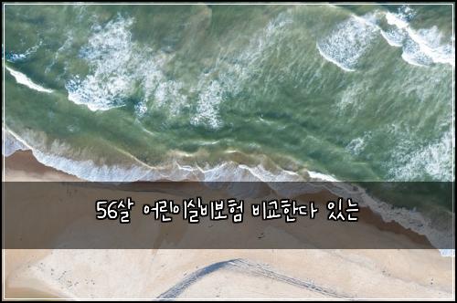 56์ด ์ด๋ฆฐ์ด์ค๋น๋ณดํ ๋น๊ตํ๋ค ์๋