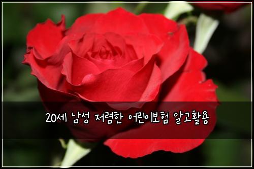 20세 남성 저렴한 어린이보험 알고활용 