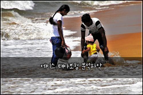 에이스 태아보험 분석파악 