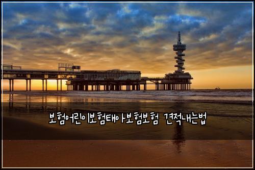 보험어린이보험태아보험보험 견적내는법