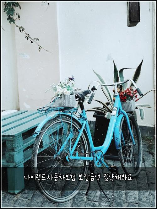 다이렉트자동차보험 보장금액  절약해봐요