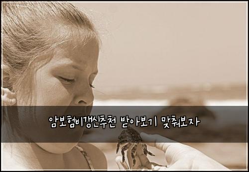 암보험비갱신추천 받아보기 맞춰보자