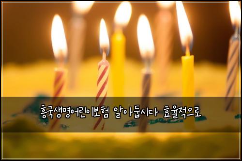 흥국생명어린이보험 알아둡시다  효율적으로