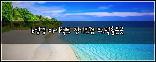 b생명 다이렉트 정기보험 혜택좋은곳 