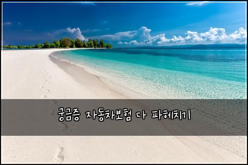 궁금증 자동차보험 다 파헤치기