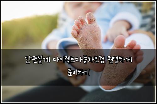 간편설계 다이렉트자동차보험 현명하게 준비하기