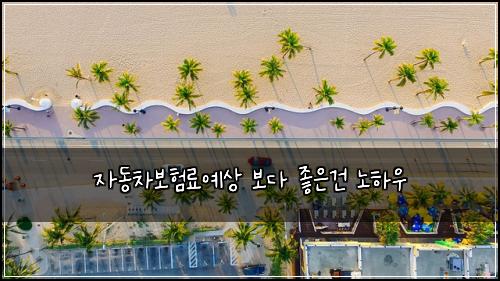 자동차보험료예상 보다 좋은건 노하우