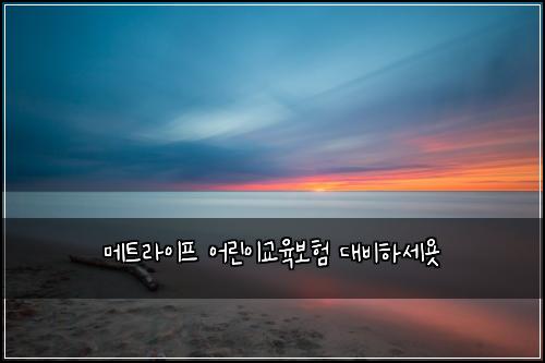 메트라이프 어린이교육보험 대비하세욧 