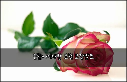 신한아이사랑 보험 보장받죠 