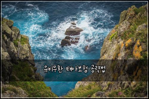 μ λΉλ¬΄ν νμ보ν 곡λ΅λ²