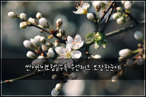 싼어린이보험일수록 우선체크 보장한눈에