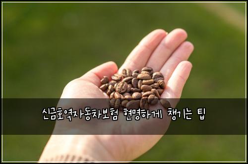 신금호역자동차보험 현명하게 챙기는 팁
