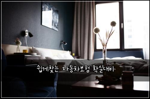 쉽게찾는 자동차보험 확실대비 