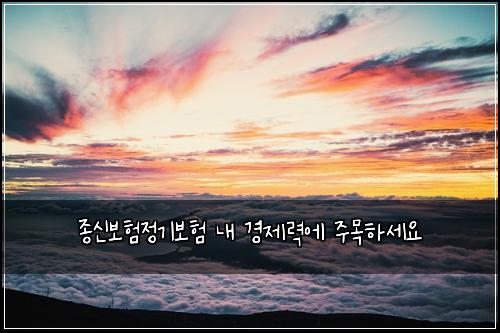 ์ข
์ ๋ณดํ์ ๊ธฐ๋ณดํ ๋ด ๊ฒฝ์ ๋ ฅ์ ์ฃผ๋ชฉํ์ธ์