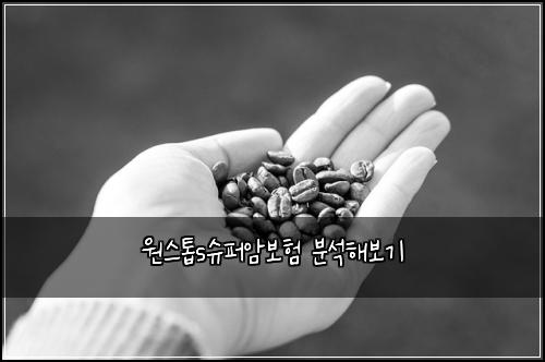 원스톱s슈퍼암보험 분석해보기