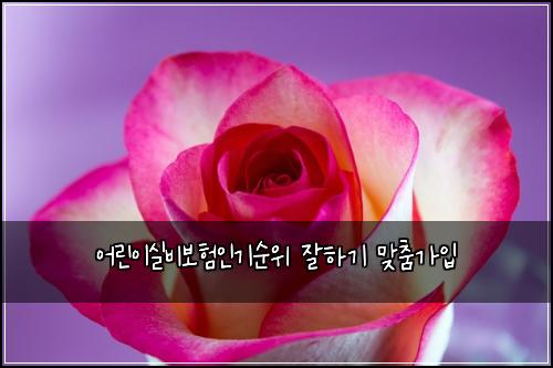 어린이실비보험인기순위 잘하기 맞춤가입