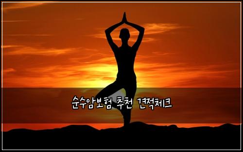 순수암보험 추천  견적체크