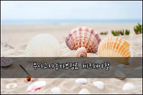 무사고자동차보험료 체크해야할