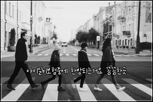 아이실비보험중에 한방되는거요 꼼꼼한곳